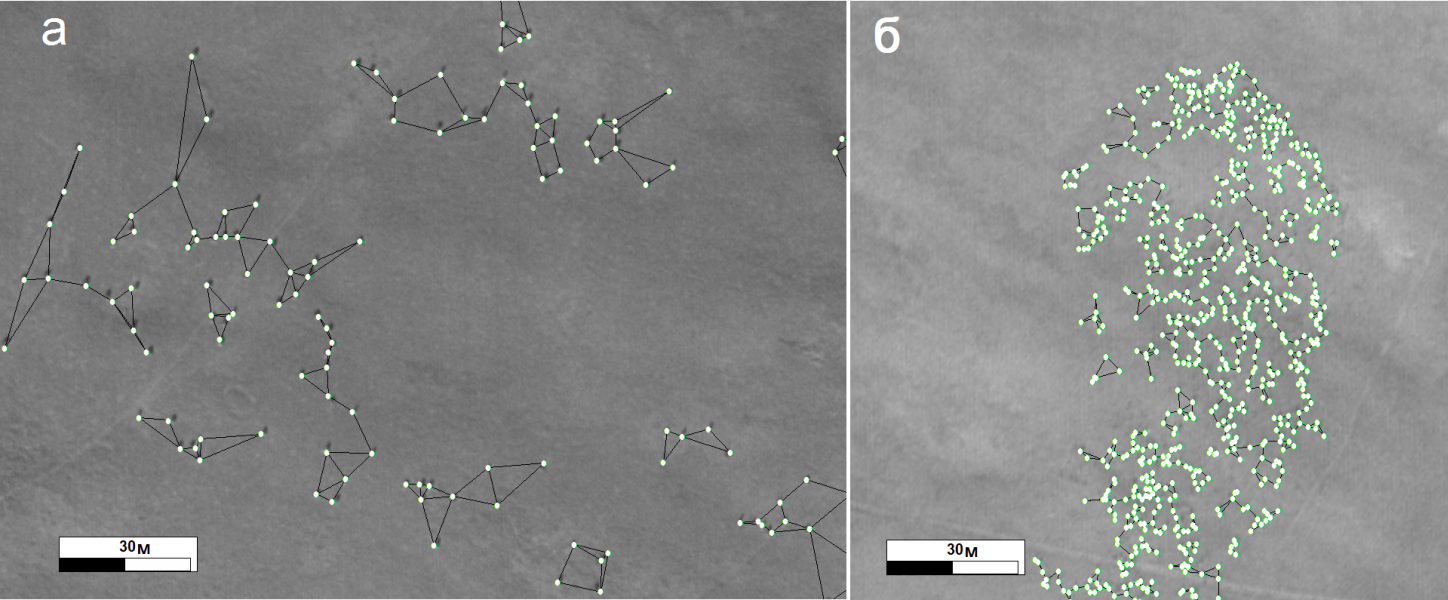 Рис. 3. Расстояния между животными в скоплении сайгаков (а) и в отаре овец (б), характеризующие структуру скоплений этих животных. При обработке снимка животные маркируются цветными точками. 