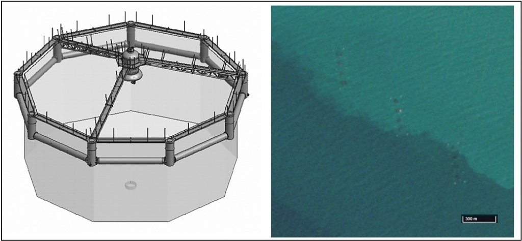 Рис. 3. Волноустойчивое рыбоводное садковое устройство (https://delvaneo.ru/aquaculture/marine-carp/practic.html) и их группы, отобразившиеся на оптическом снимке Sentinel-2.