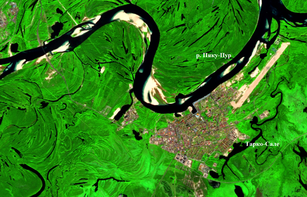 Рис. 3. Фрагмент Sentinel-2A от 08.08.2025, Тарко-Сале Рис. 3. Фрагмент Sentinel-2A от 08.08.2025, Тарко-Сале