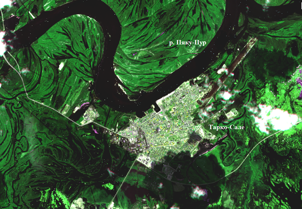 Рис. 2. Фрагмент Sentinel-2A от 05.06.2025, Тарко-Сале. Черным цветом отображена вода, зеленым — растительность, розовым — льды Рис. 2. Фрагмент Sentinel-2A от 05.06.2025, Тарко-Сале. Черным цветом отображена вода, зеленым — растительность, розовым — льды