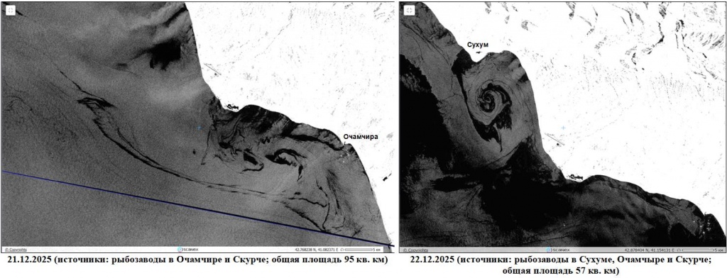 Рис. 1а. Пленочное загрязнение прибрежной зоны Абхазии, обнаруженное на радиолокационных изображениях Sentinel-1A/1C во время путины 2025/2026 гг. © ESA