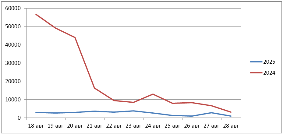 Рис. 5. Сравнение количества зафиксированных термоточек по данным спутникового мониторинга на территории России за период с 18 по 28 августа в 2024 и 2025 гг.