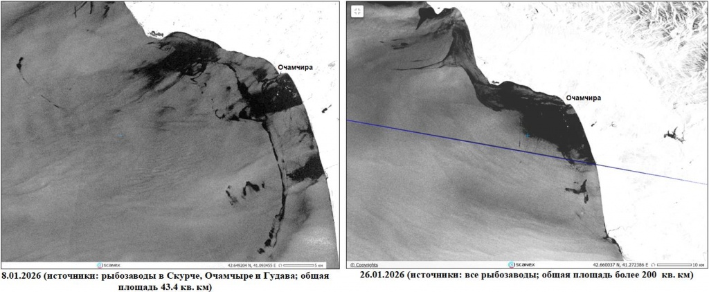 Рис. 1б. Пленочное загрязнение прибрежной зоны Абхазии, обнаруженное на радиолокационных изображениях Sentinel-1A/1C во время путины 2025/2026 гг. © ESA