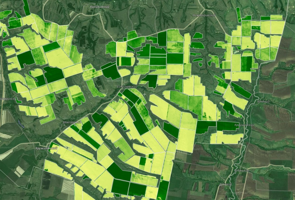 Результат расчета значений NDVI в сервисе «КосмосАгро» по данным LANDSAT-8 Результат расчета значений NDVI в сервисе «КосмосАгро» по данным LANDSAT-8
